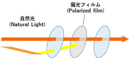 Dyes for polarizing film